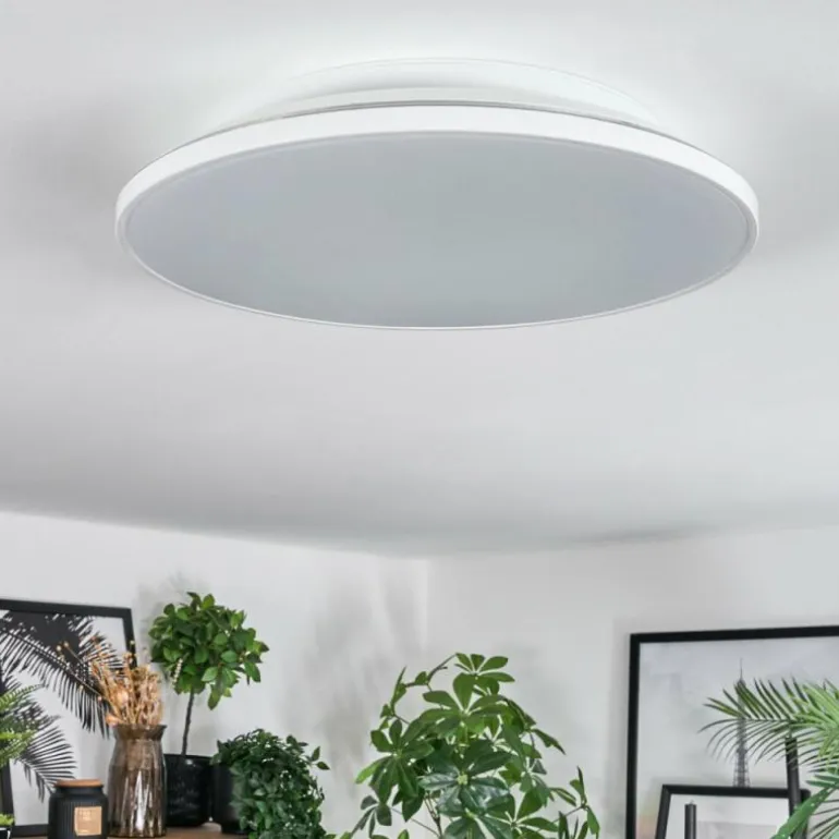 Norea Plafonnier, Spot de plafond LED Blanc, 1 lumière