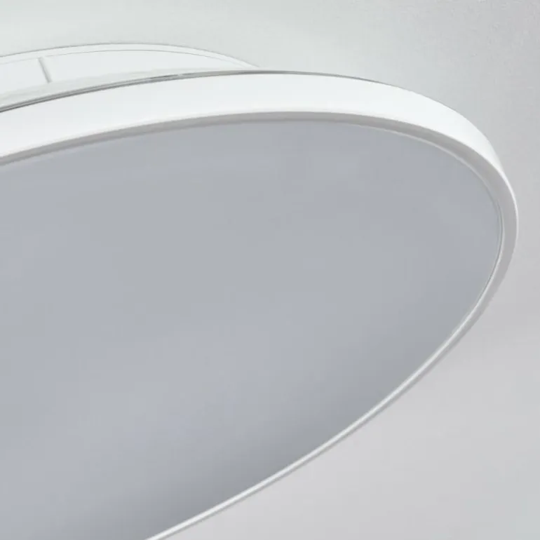 Norea Plafonnier, Spot de plafond LED Blanc, 1 lumière