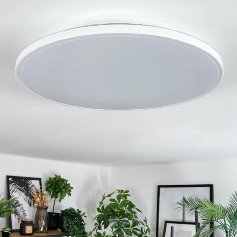 Norea Plafonnier, Spot de plafond LED Blanc, 1 lumière