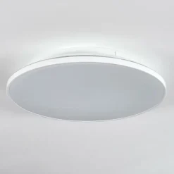 Norea Plafonnier, Spot de plafond LED Blanc, 1 lumière