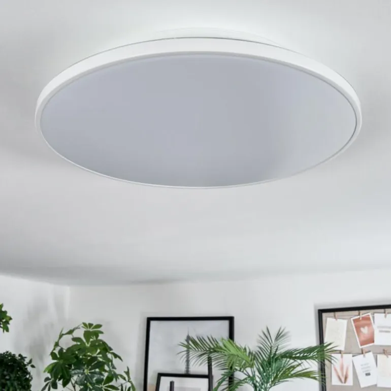 Norea Plafonnier, Spot de plafond LED Blanc, 1 lumière