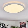 Panneau LED Boyero Blanc, 1 lumière