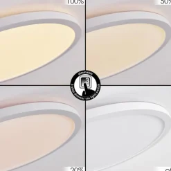 Panneau LED Boyero Blanc, 1 lumière