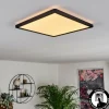 Panneau LED Boyero Noir, 1 lumière