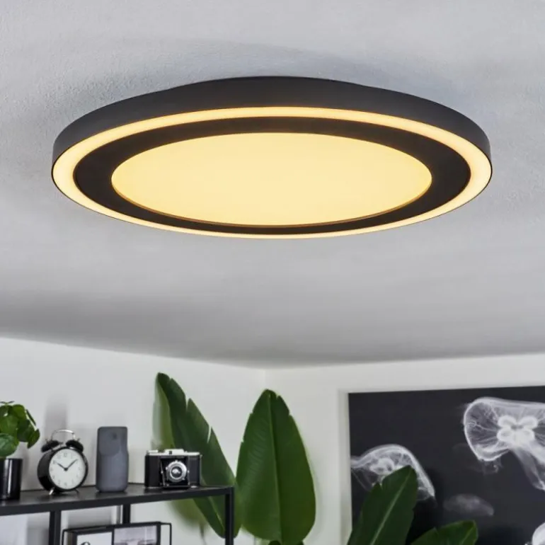 Plafonnier Audrieu LED Noir, 2 lumières