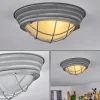 Plafonnier Coltauco Gris, 1 lumière