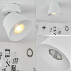Plafonnier Especiosa Blanc, 1 lumière