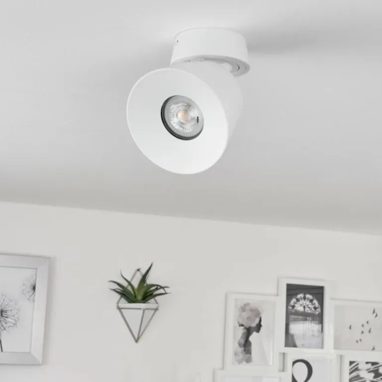 Plafonnier Especiosa Blanc, 1 lumière