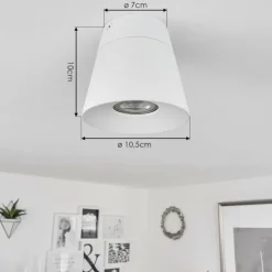 Plafonnier Especiosa Blanc, 1 lumière