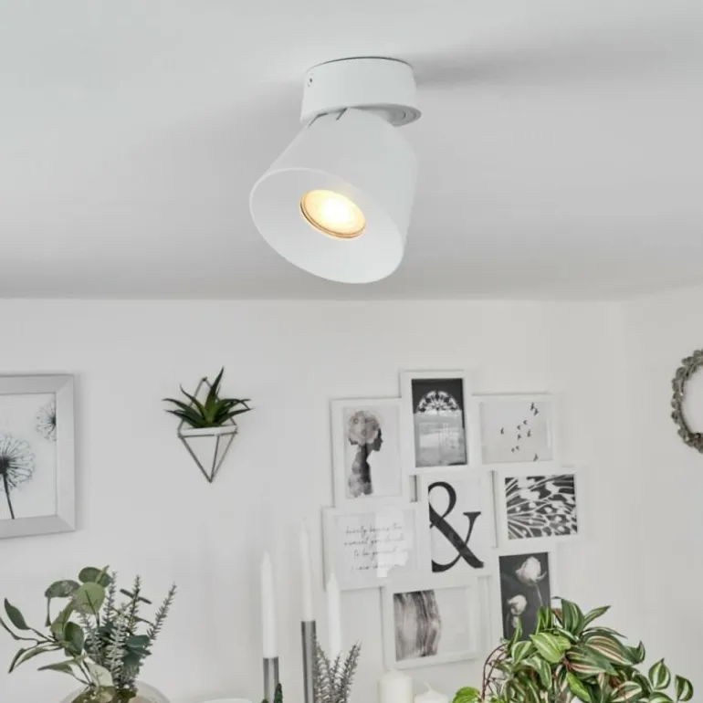 Plafonnier Especiosa Blanc, 1 lumière
