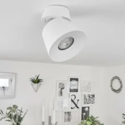 Plafonnier Especiosa Blanc, 1 lumière