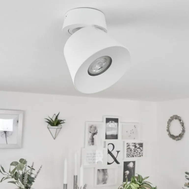Plafonnier Especiosa Blanc, 1 lumière