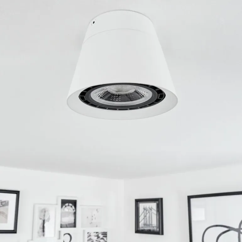 Plafonnier Especiosa Blanc, 1 lumière