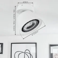 Plafonnier Especiosa Blanc, 1 lumière