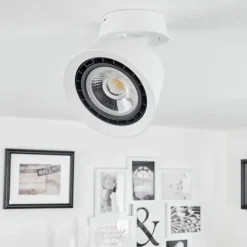 Plafonnier Especiosa Blanc, 1 lumière