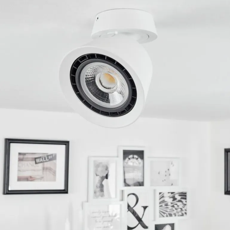Plafonnier Especiosa Blanc, 1 lumière