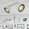 Plafonnier Especiosa Blanc, 2 lumières
