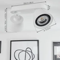Plafonnier Especiosa Blanc, 2 lumières