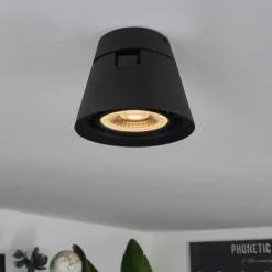 Plafonnier Especiosa Noir, 1 lumière