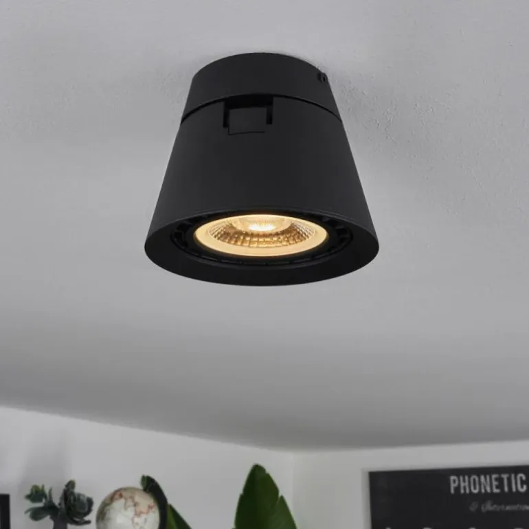 Plafonnier Especiosa Noir, 1 lumière