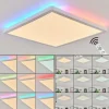 Plafonnier Hortinhas LED Blanc, 1 lumière, Télécommandes, Changeur de couleurs