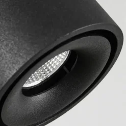 Plafonnier Laonsana LED Noir, 2 lumières