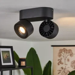 Plafonnier Laonsana LED Noir, 2 lumières