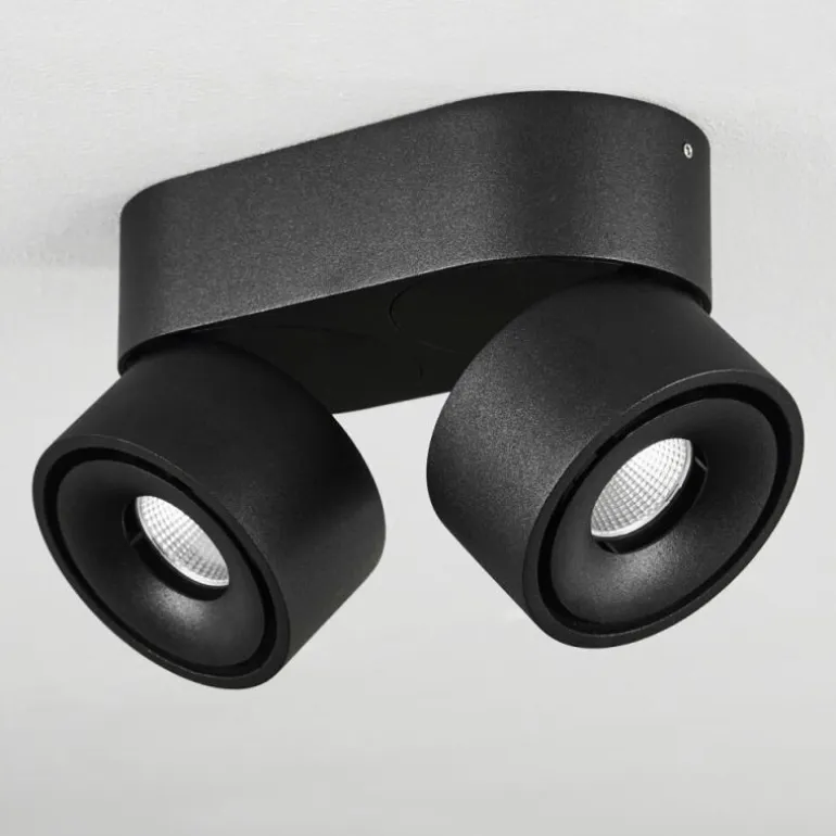 Plafonnier Laonsana LED Noir, 2 lumières
