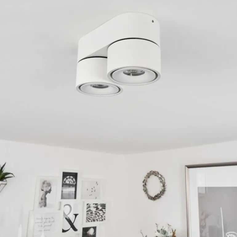 Plafonnier Laonsana LED Noir, Blanc, 2 lumières