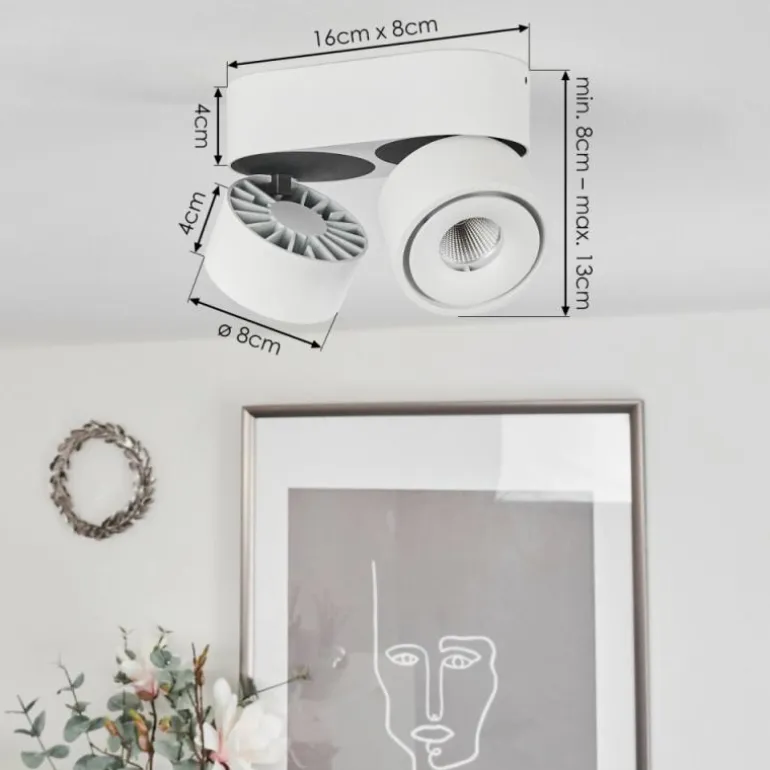 Plafonnier Laonsana LED Noir, Blanc, 2 lumières