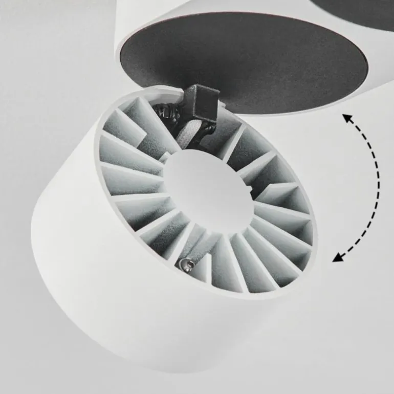 Plafonnier Laonsana LED Noir, Blanc, 2 lumières