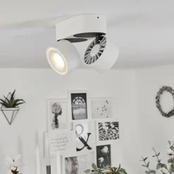 Plafonnier Laonsana LED Noir, Blanc, 2 lumières