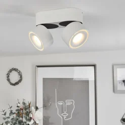 Plafonnier Laonsana LED Noir, Blanc, 2 lumières
