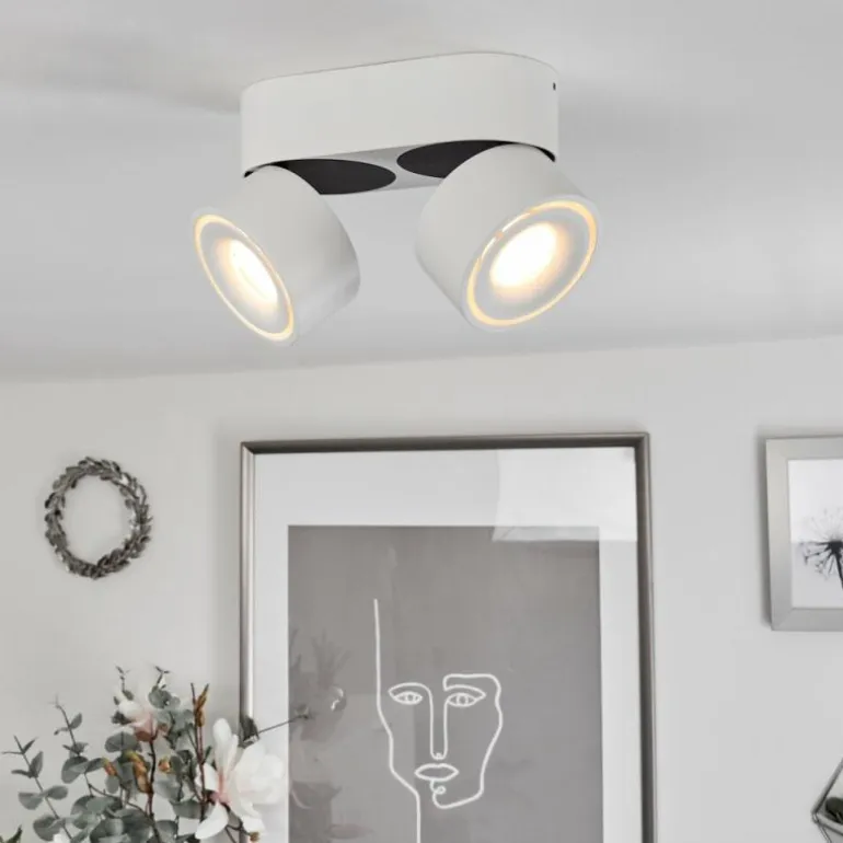 Plafonnier Laonsana LED Noir, Blanc, 2 lumières