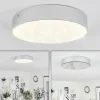 Plafonnier Mentque LED Argenté, 1 lumière