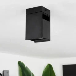 Plafonnier Prassinet Noir, 1 lumière