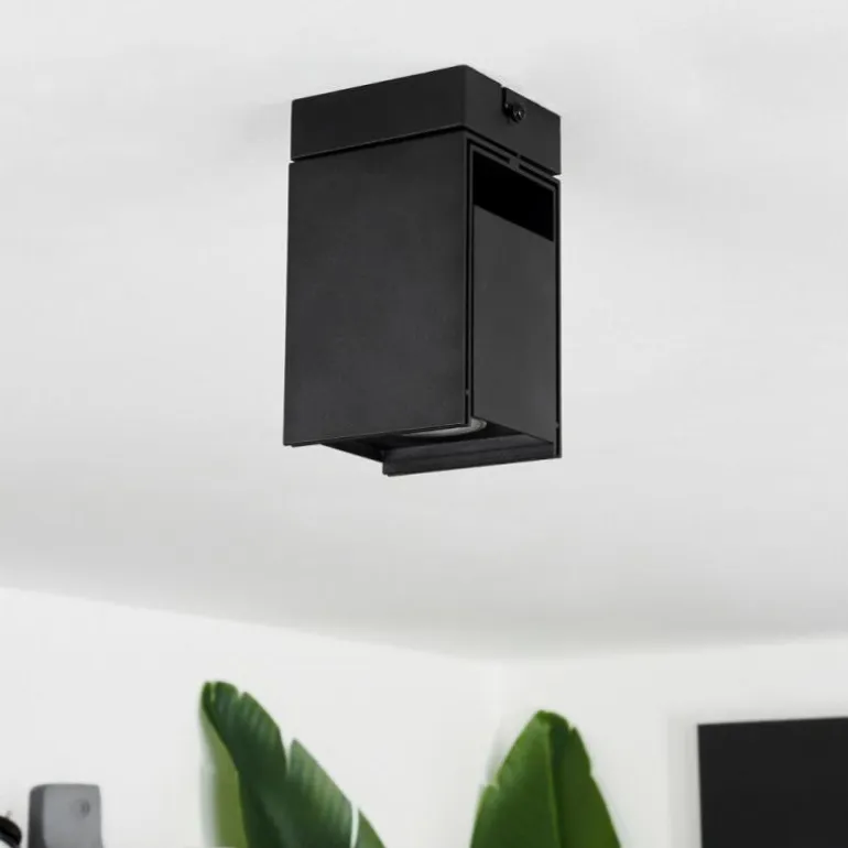 Plafonnier Prassinet Noir, 1 lumière