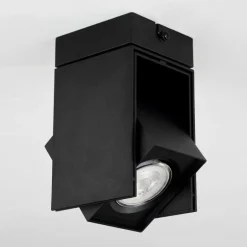 Plafonnier Prassinet Noir, 1 lumière