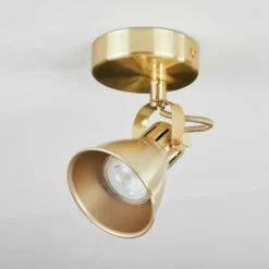 Plafonnier Salinas Laiton, 1 lumière
