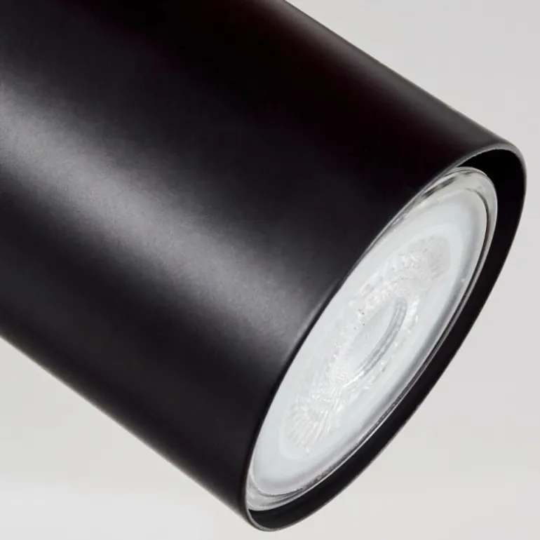 Plafonnier Sequeira LED Bois clair, Couleur bois, Noir, 2 lumières