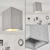 Plafonnier Stettler Gris, 1 lumière