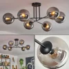 Plafonnier - Verre 15 cm Gastor Fumé, 6 lumières