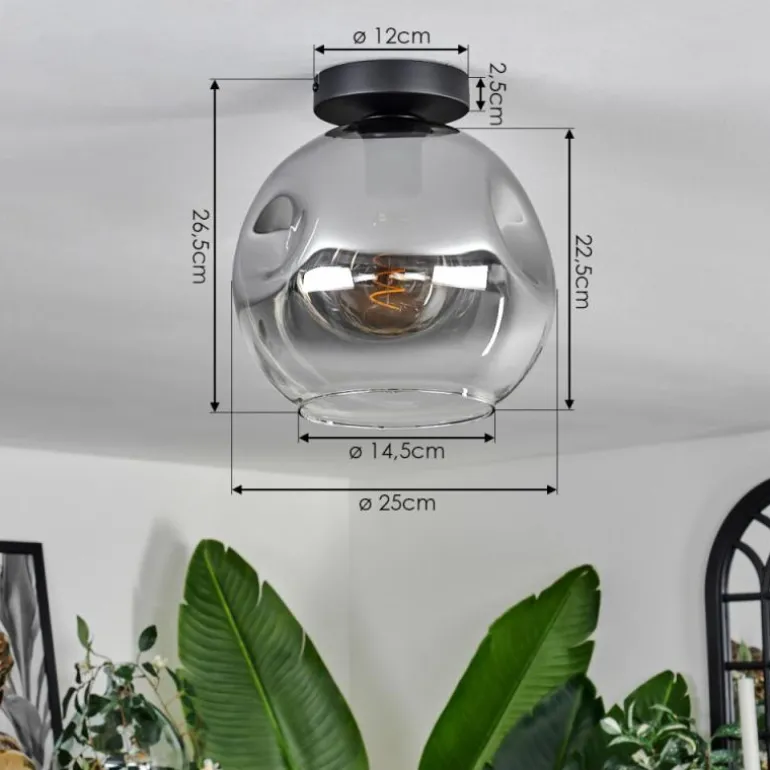 Plafonnier - Verre 25 cm Ripoll Clair, Fumé, 1 lumière