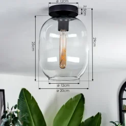 Plafonnier - Verre Apedo Clair, 1 lumière