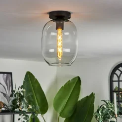 Plafonnier - Verre Apedo Clair, 1 lumière