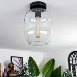 Plafonnier - Verre Apedo Clair, 1 lumière
