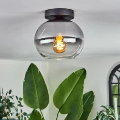Plafonnier - Verre Apedo Clair, Fumé, 1 lumière