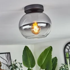 Plafonnier - Verre Apedo Clair, Fumé, 1 lumière