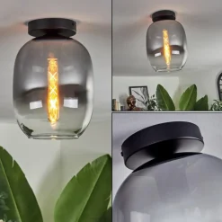 Plafonnier - Verre Apedo Clair, Fumé, 1 lumière