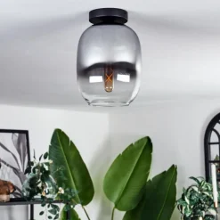 Plafonnier - Verre Apedo Clair, Fumé, 1 lumière